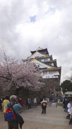 001大阪城桜.jpg